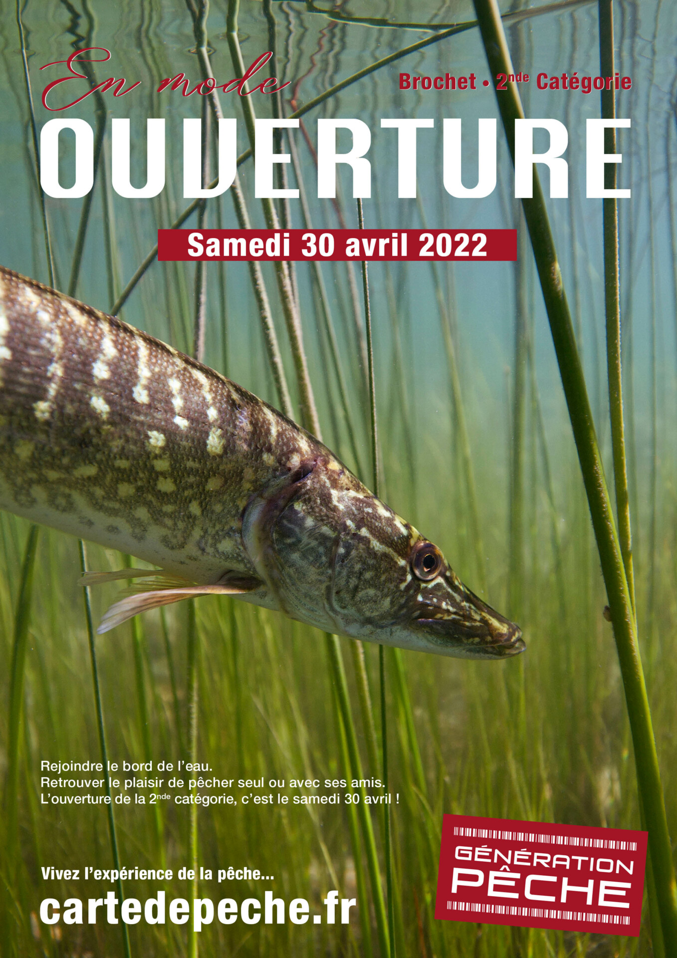 Lot-et-Garonne : de bonnes conditions de pêche pour l'ouverture du  carnassier