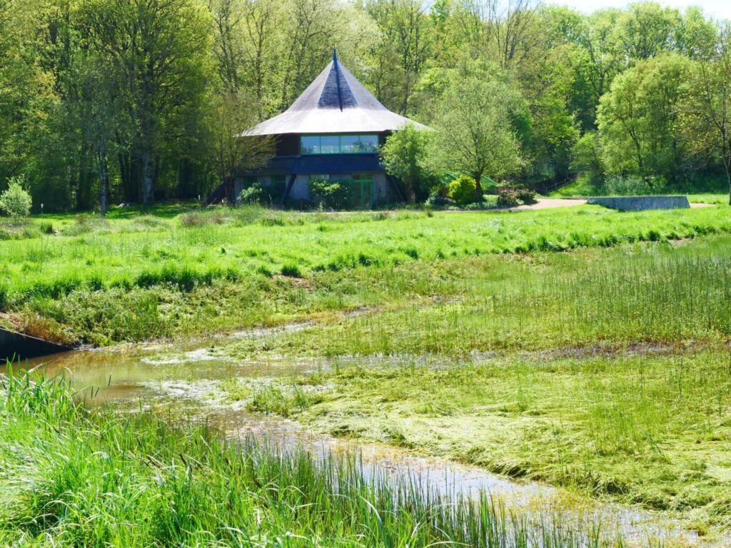 Vidange Des Bassins Pour La Reproduction Naturelle Aménagée Pour Le