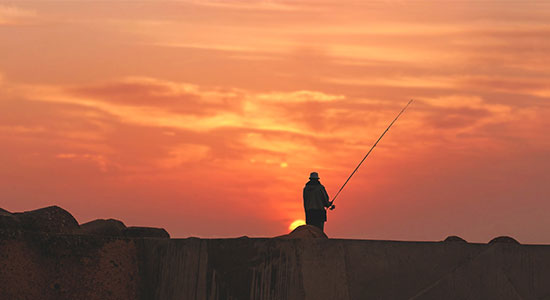 organigramme de la fédération de la pêche 49