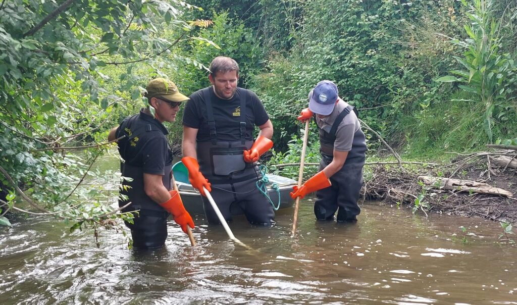 fédération de la pêche du 49 roles et missions
