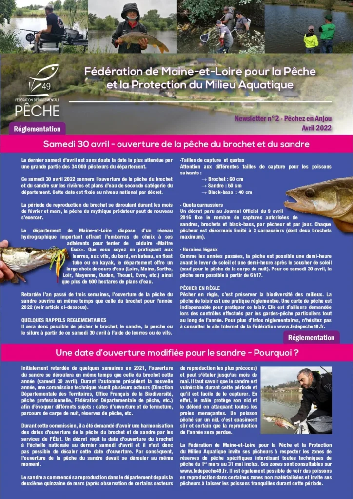 maquette newsletter n2 pdf