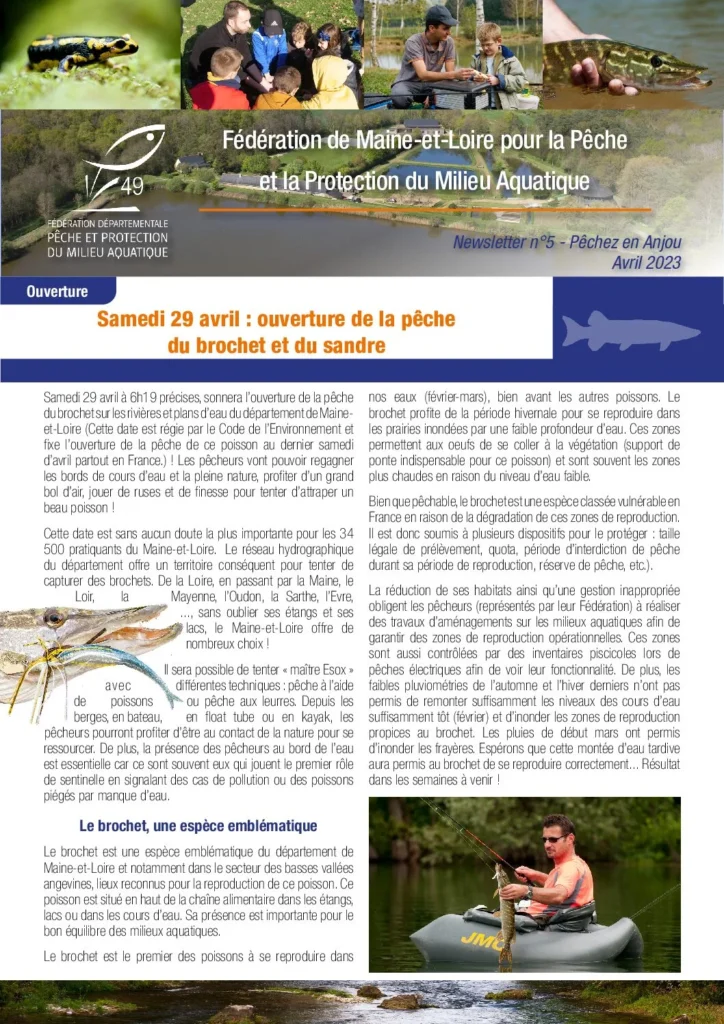 maquette newsletter n5 pdf