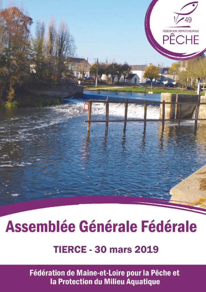 rapport dactivites 2019 pdf