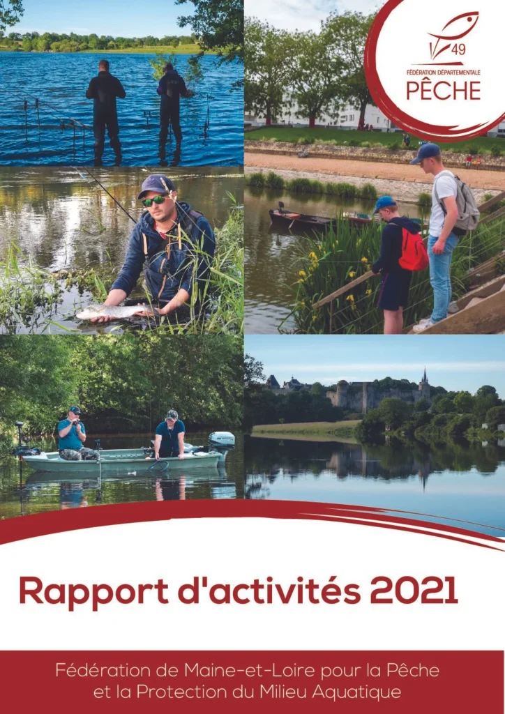 rapport dactivites 2021 pdf