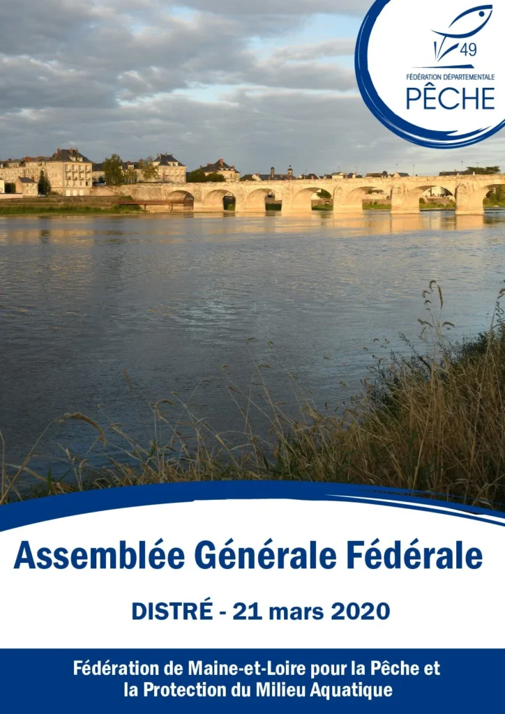 rapports dactivites 2020 pdf