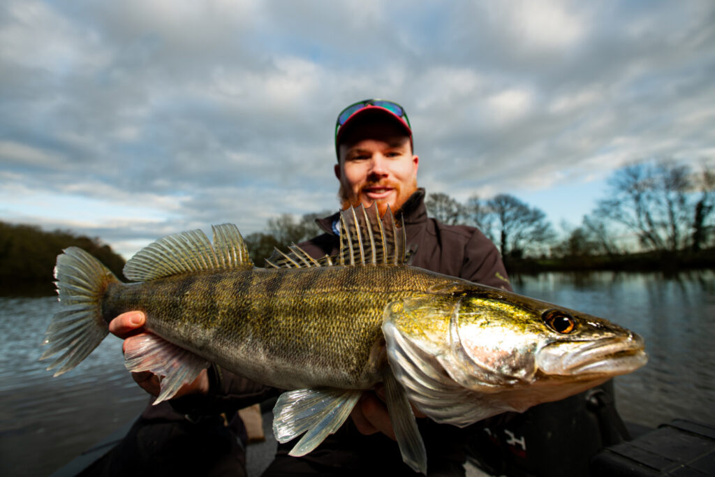 les tailles de captures et quota carnassiers page