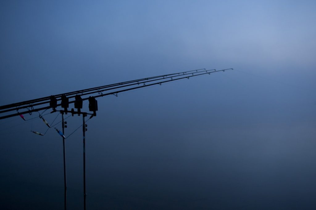 lutte contre le trafic de carpe