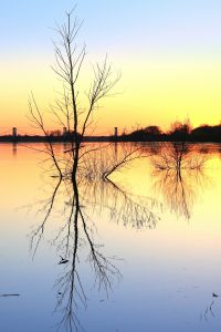 vainqueur concours paysages