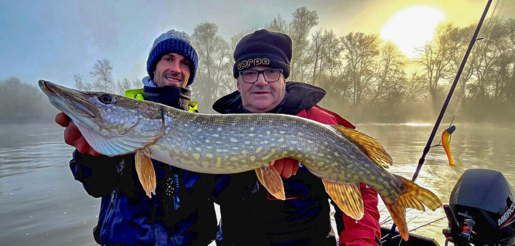 whatsapp image 2024 11 16 a 13 47 29 0f05a4a4 1567x750