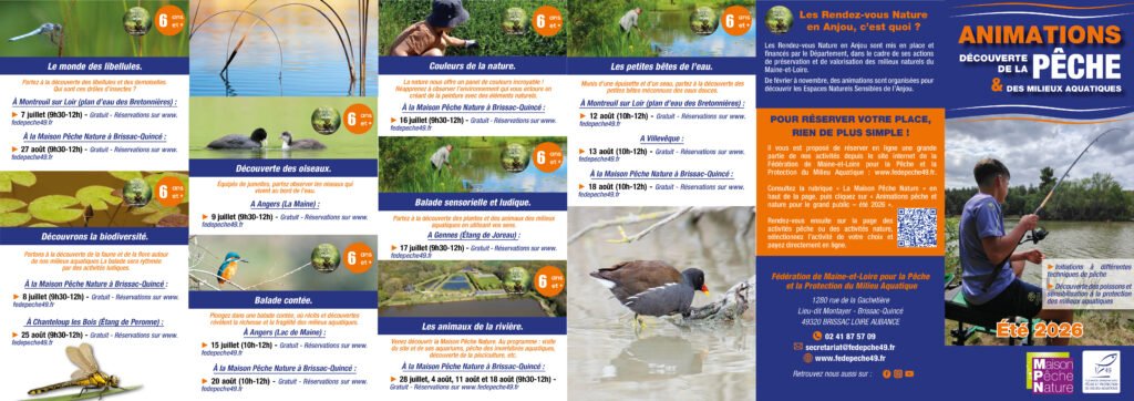 programme animations été 2026