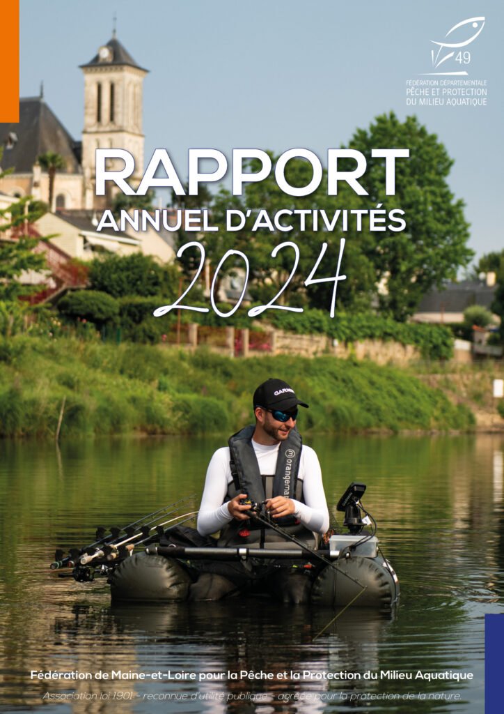 rapport d'activités 2024