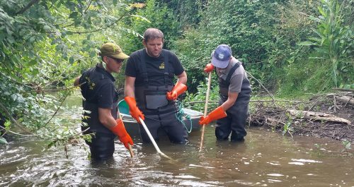 fédération de la pêche du 49 roles et missions