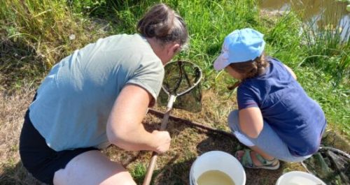 animations scolaires