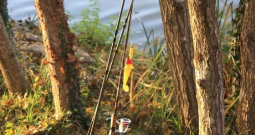 ce quil faut savoir sur