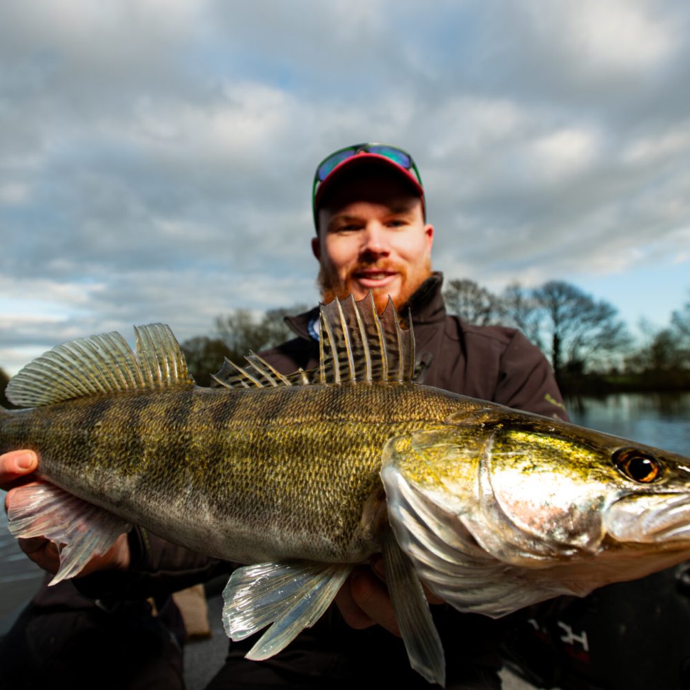 les tailles de captures et quota carnassiers page