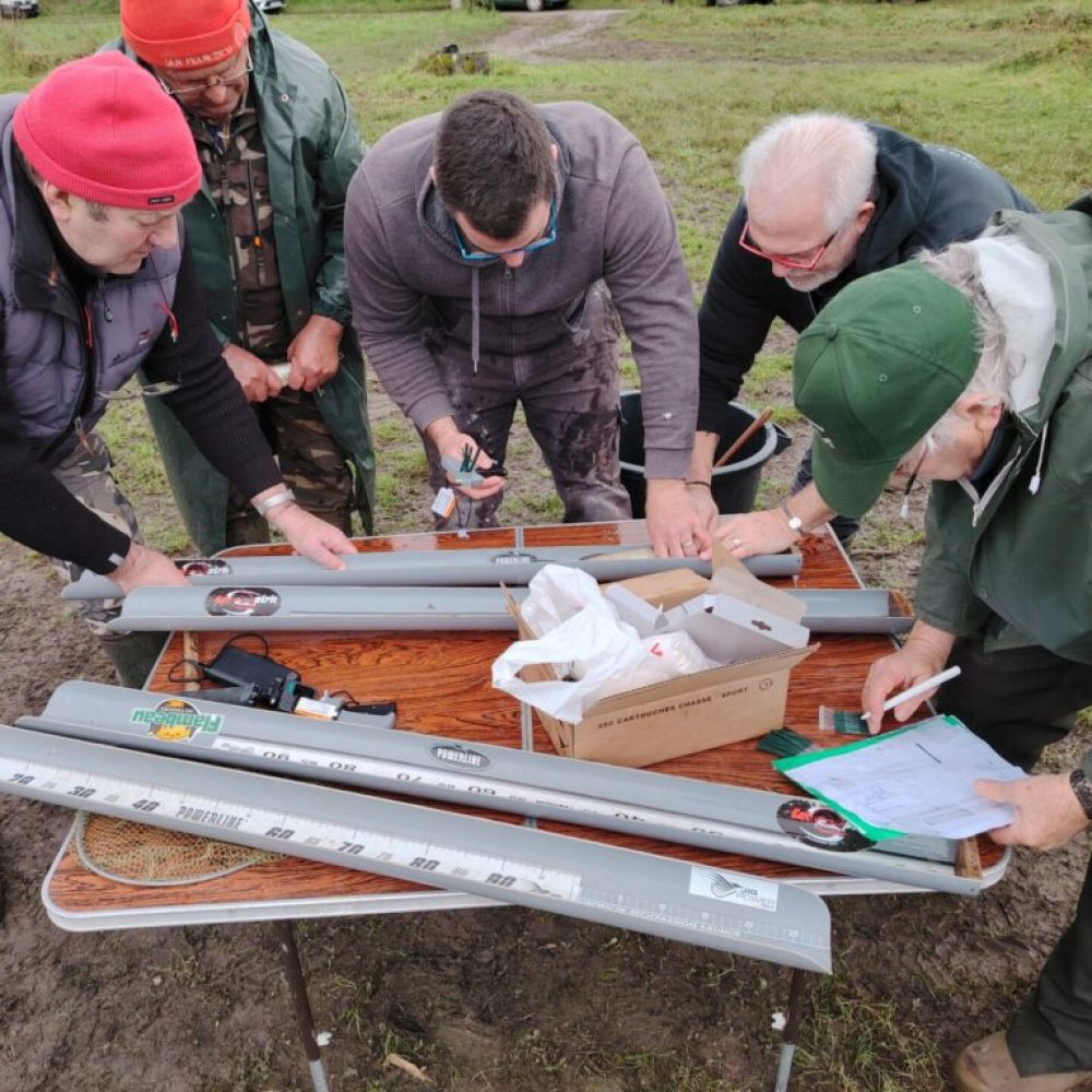 marquage de poissons1