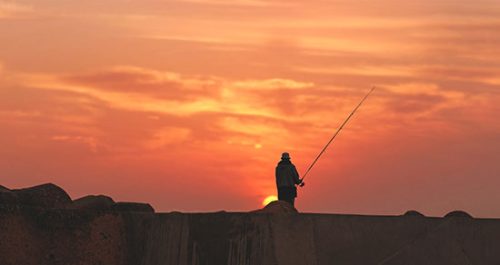 organigramme de la fédération de la pêche 49