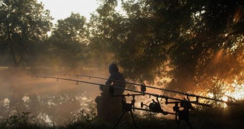 pêche de la carpe de nuit