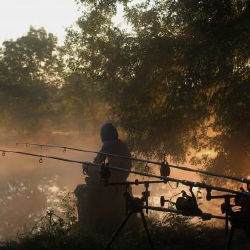 pêche de la carpe de nuit