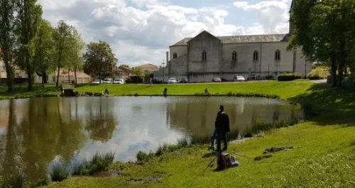 reglementation fede49