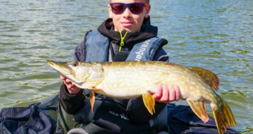 réservation des animations nature