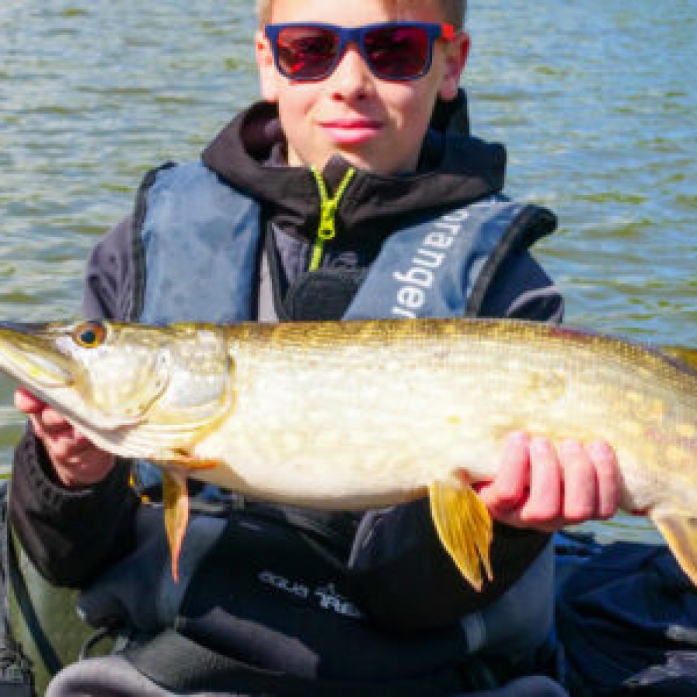 réservation des animations nature