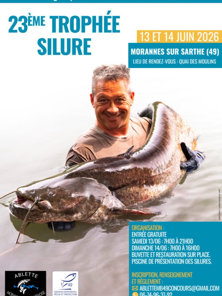 trophée silure à morannes sur sarthe