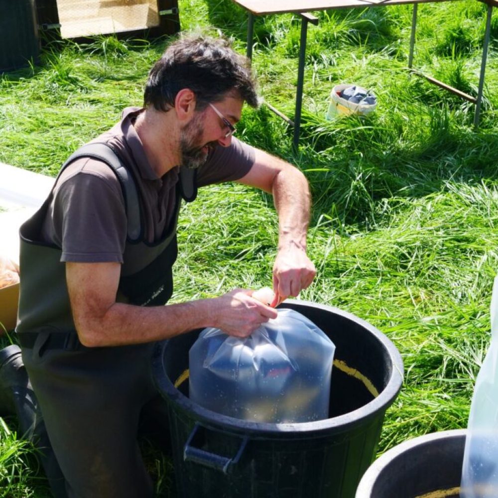 vidange des bassins6