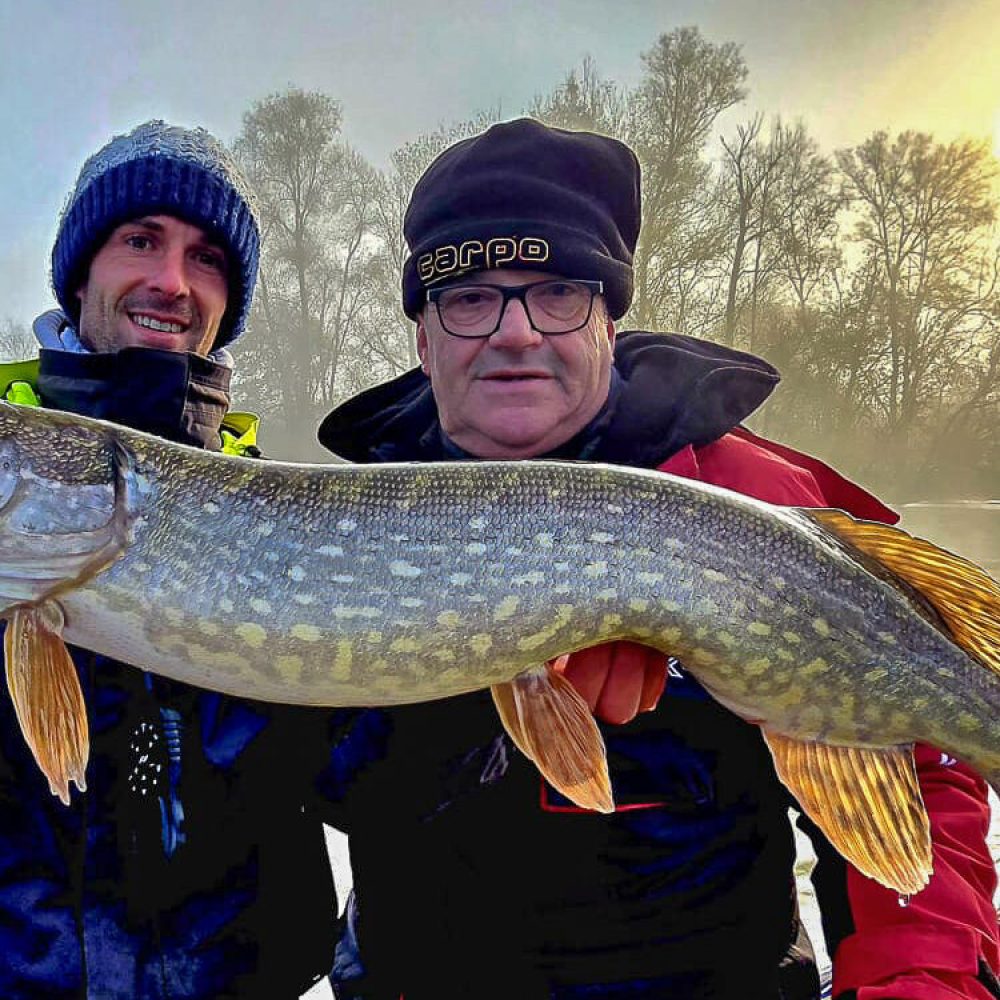 whatsapp image 2024 11 16 a 13 47 29 0f05a4a4 1567x750